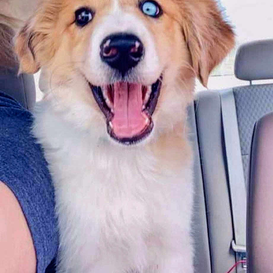 Bonnie