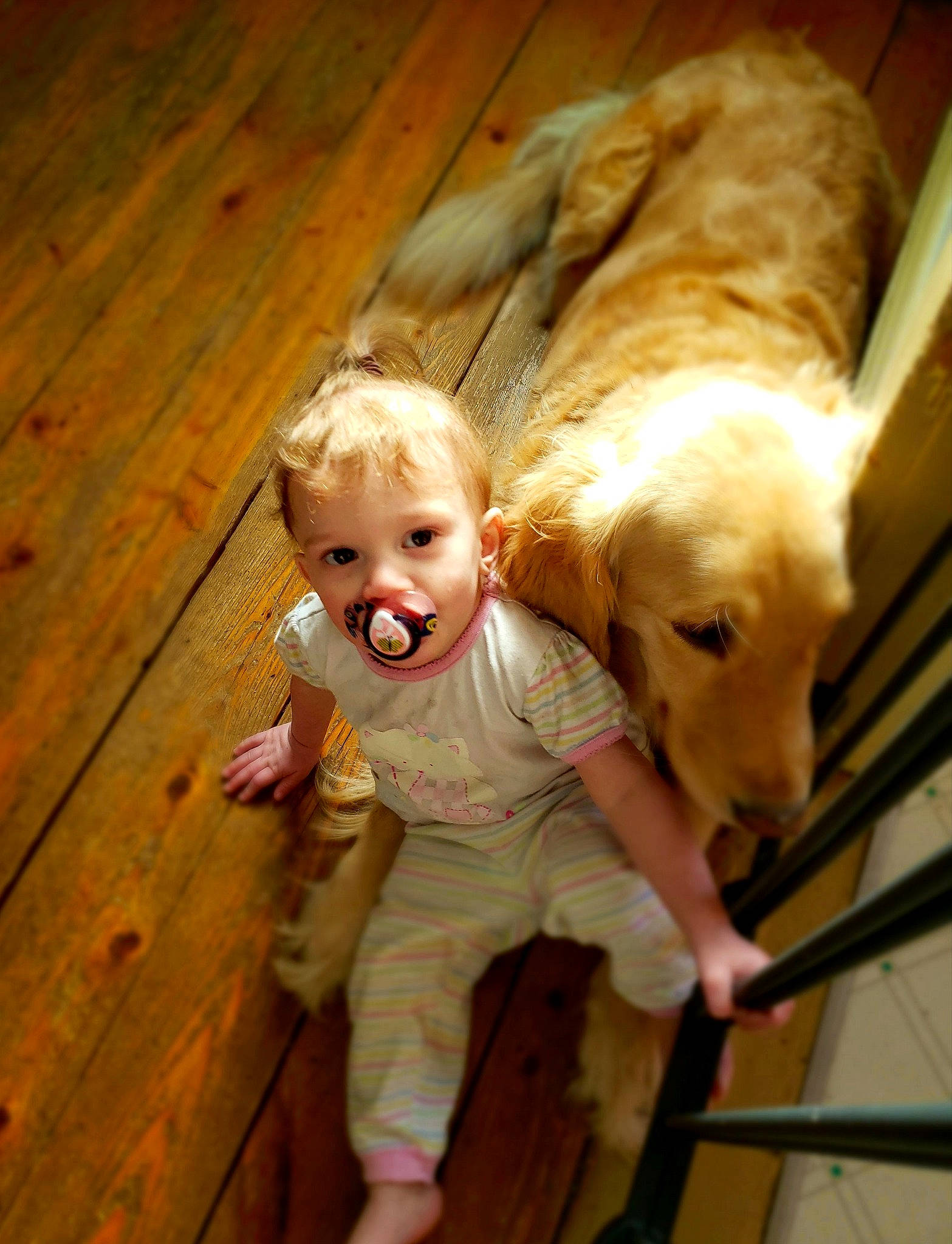 Brooklyn is registered to the contest to win money with this photo: baby, canidae, carnivore, child, companion_dog, dog, dog_breed, fawn, floor, golden_retriever, person, retriever, sporting_group, toddler