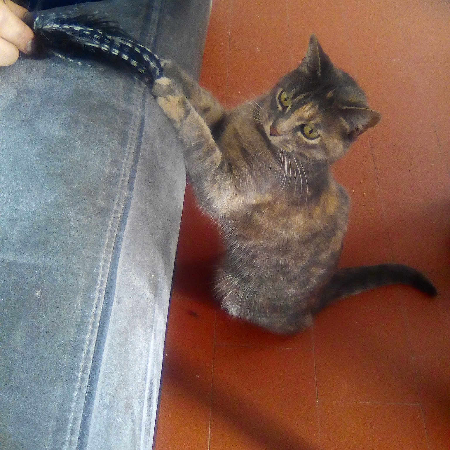Ma Doudou