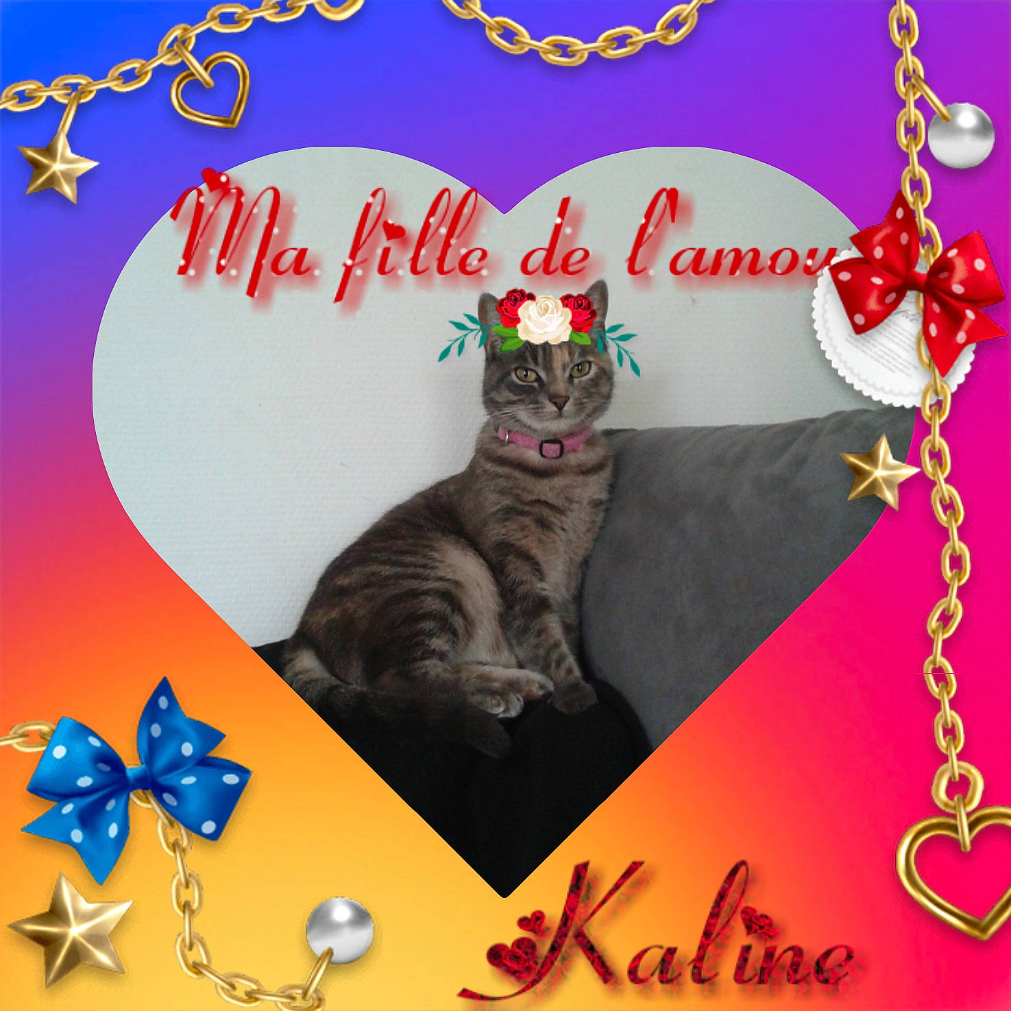 Kaline a rejoint le concours — aidez-le/la à gagner de superbes lots ! carnivore, cat, felidae, greeting_card, love, small_to_medium_sized_cats, valentines_day, whiskers