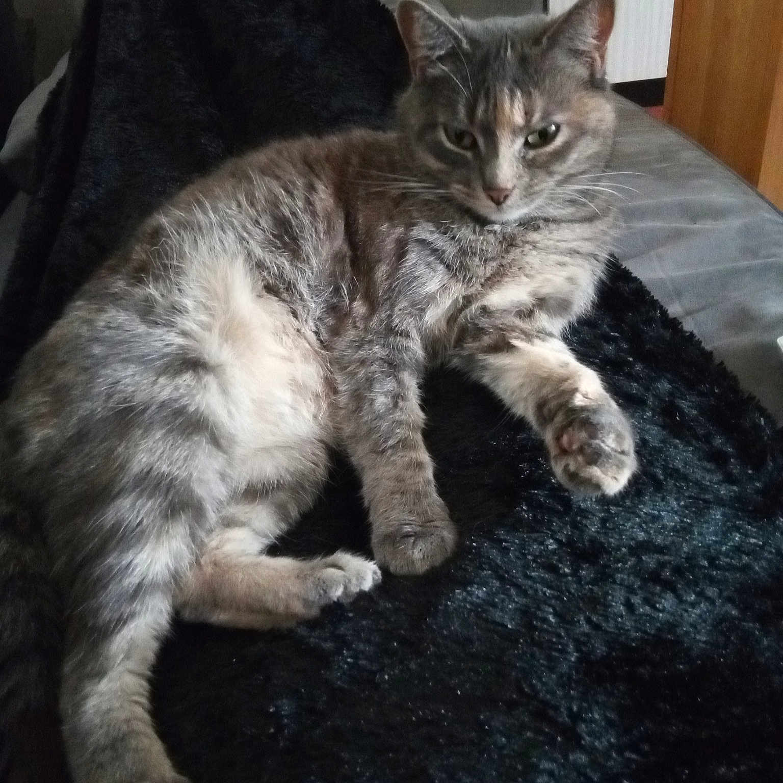 Kâline