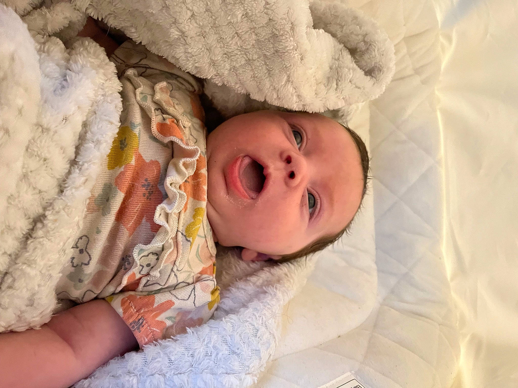 Adalynn is registered to the contest to win money with this photo: baby, bedding, bedtime, child, comfort, event, face, fur, hand, happy, head, human_body, linens, lip, nose, person, skin, sleep, smile, toddler