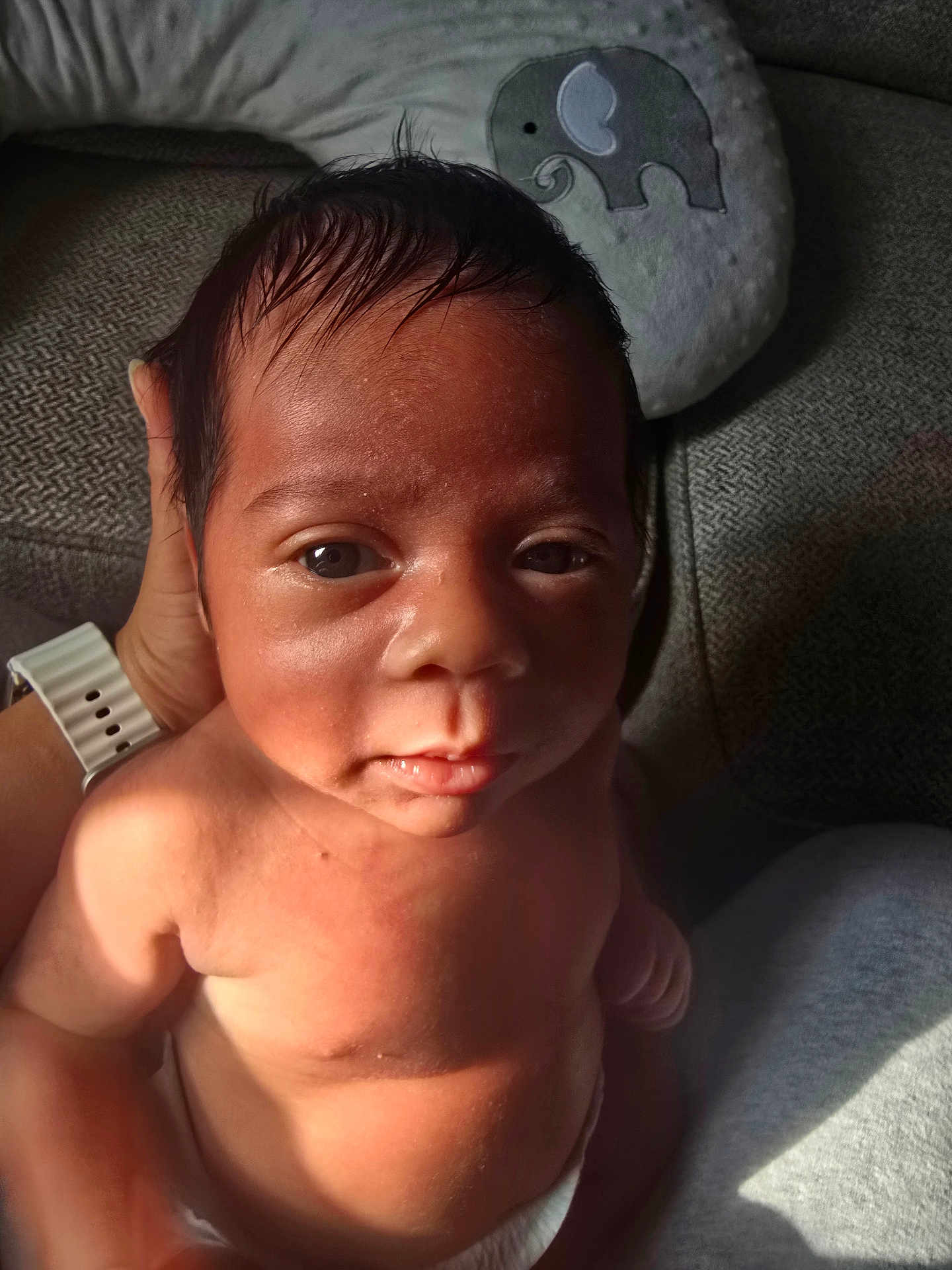 Lexaeus joined the competition — help win amazing prizes! baby, infant, face, skin, hand, diaper, plush, elephant, pillow, couch, light, shadow, closeup, portrait, person, newborn, curious, indoors, support, soft