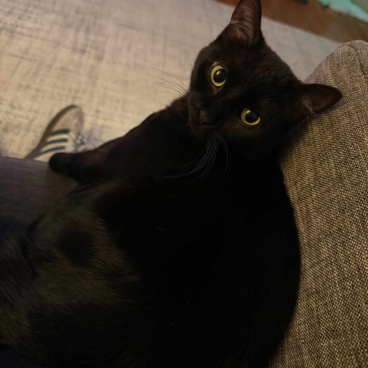 Luna