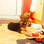 puppy, german_shepherd, dog, toy, plush_toy, kitchen, tile_floor, pet_bowl, mat, animal, indoor, floor, pet, playful, brown, black, ears, cute, young_dog, resting