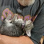 Little Girl joined the competition — help win amazing prizes! arm, cat, closeup, collar, comfort, cute, domestic_animal, feline, fur, indoor, kitten, person, pet, purple, resting, sleeping, tabby, text, tshirt, yellow