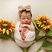 Melba joined the competition — help win amazing prizes! newborn, baby, sleeping, wrapped, blanket, headband, bow, flower, sunflower, green_leaves, cute, infant, soft, peaceful, portrait, skin, hands, feet, closeup, natural_light