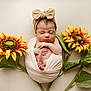 newborn, baby, sleeping, wrapped, blanket, headband, bow, flower, sunflower, green_leaves, cute, infant, soft, peaceful, portrait, skin, hands, feet, closeup, natural_light