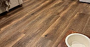 Apollo is registered to the contest to win money with this photo: dog, indoor, wooden_floor, dog_bowl, kibble, empty_bowl, pet, collar, door, furniture, blanket, chair, home, animal, flooring, curious, waiting, domestic, canine, clean