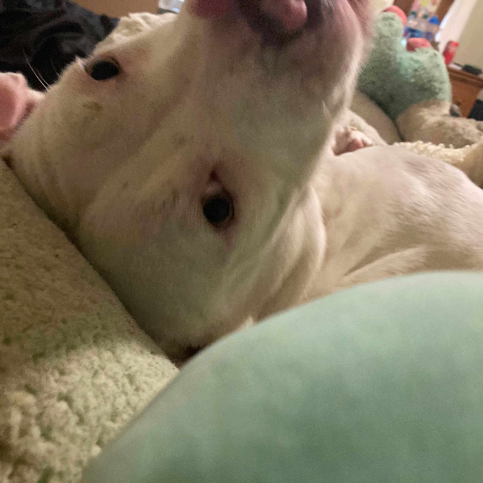 Ethel