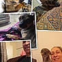 Nala is registered to the contest to win money with this photo: blanket, closeup, collage, couch, cozy, dog, fabric, furniture, hand, home, indoors, patterned_cushion, person, pet, portrait, puppy, relaxing, sleeping, smiling, window