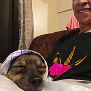 Nala joined the competition — help win amazing prizes! black, blanket, brown, clothing, comfort, couch, cozy, curtain, dog, fabric, face, head, indoor, pattern, person, pink, relaxation, resting, sleeping, smiling