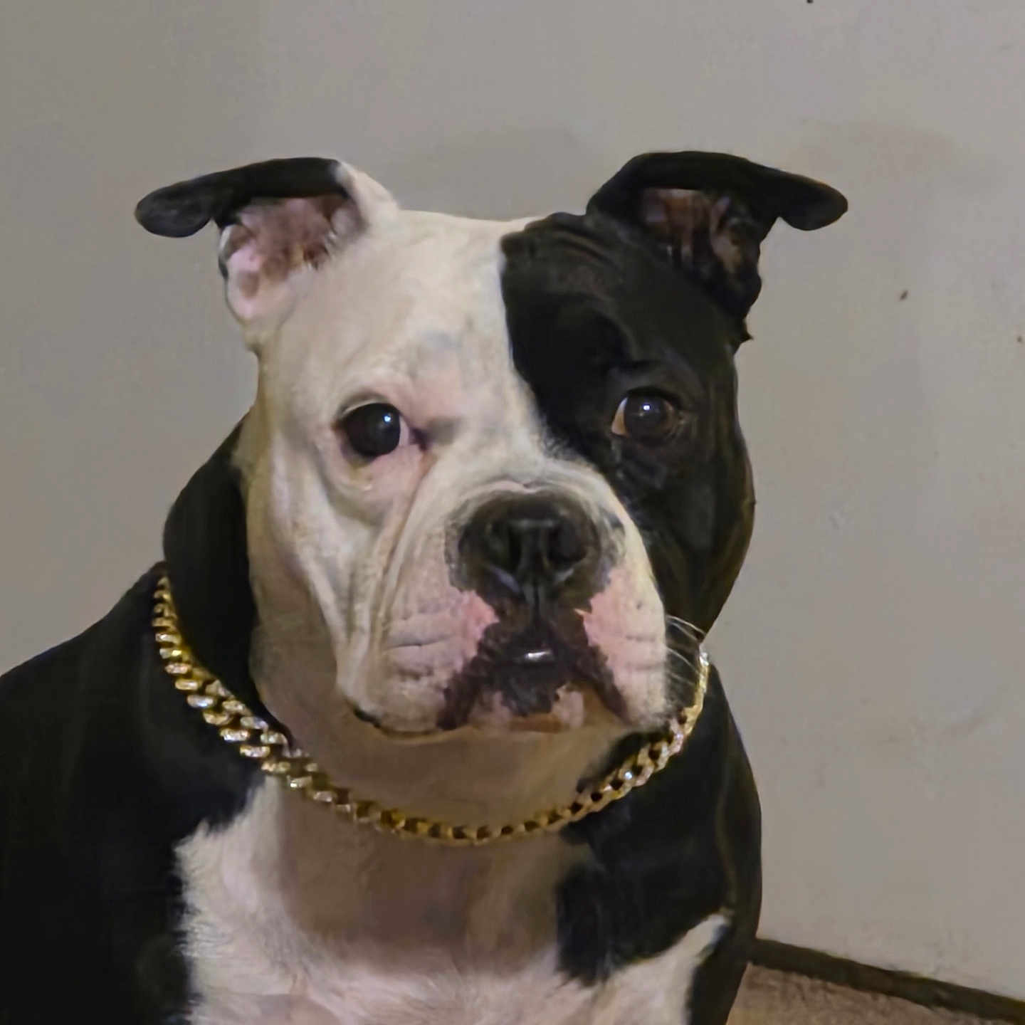 Winnie