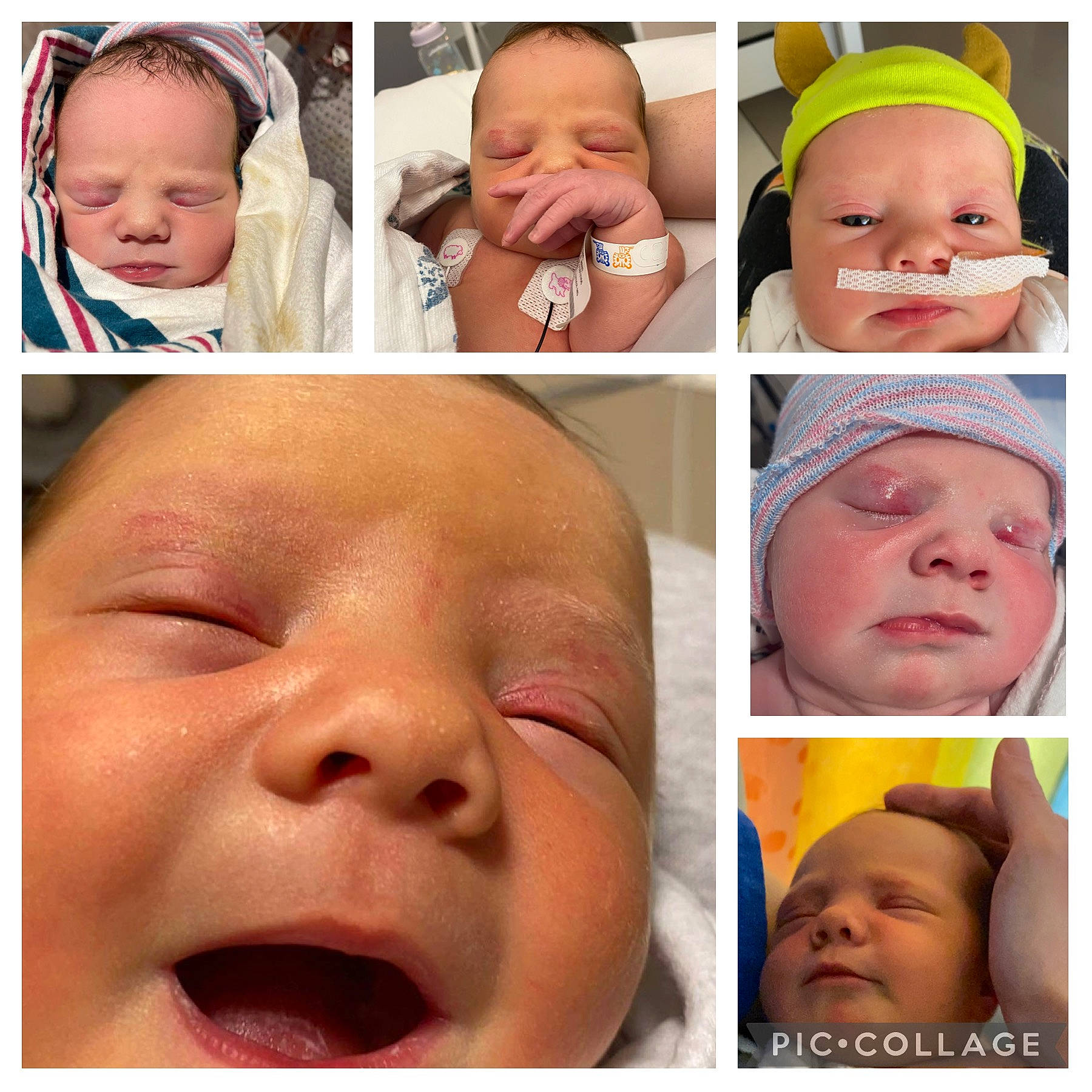 Zayleigh joined the competition — help win amazing prizes! cheek, chin, eye, eyebrow, eyelash, face, facial_expression, forehead, head, headwear, human, lip, mouth, muscle, neck, nose, organ, person, photograph, product