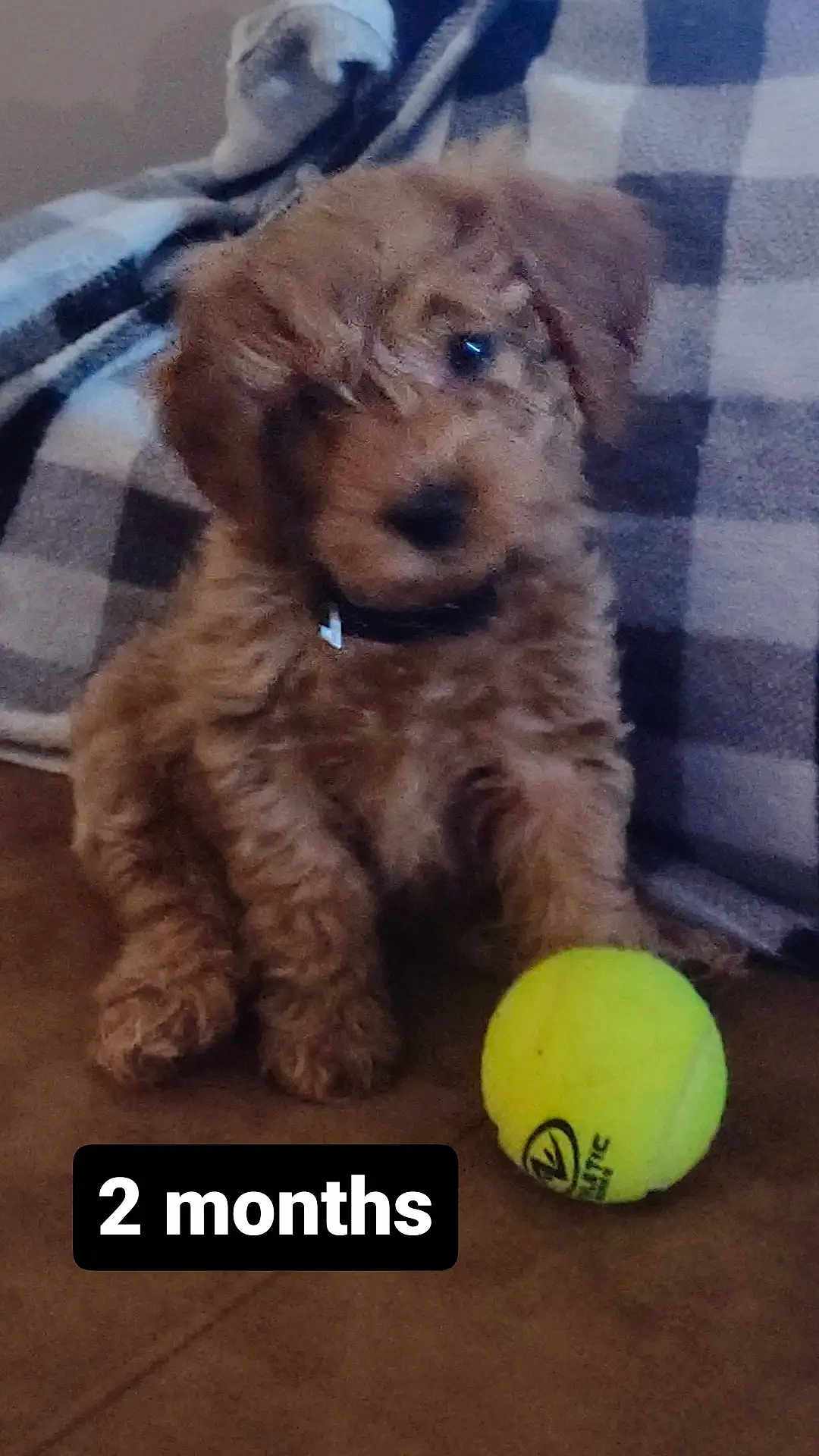 Max