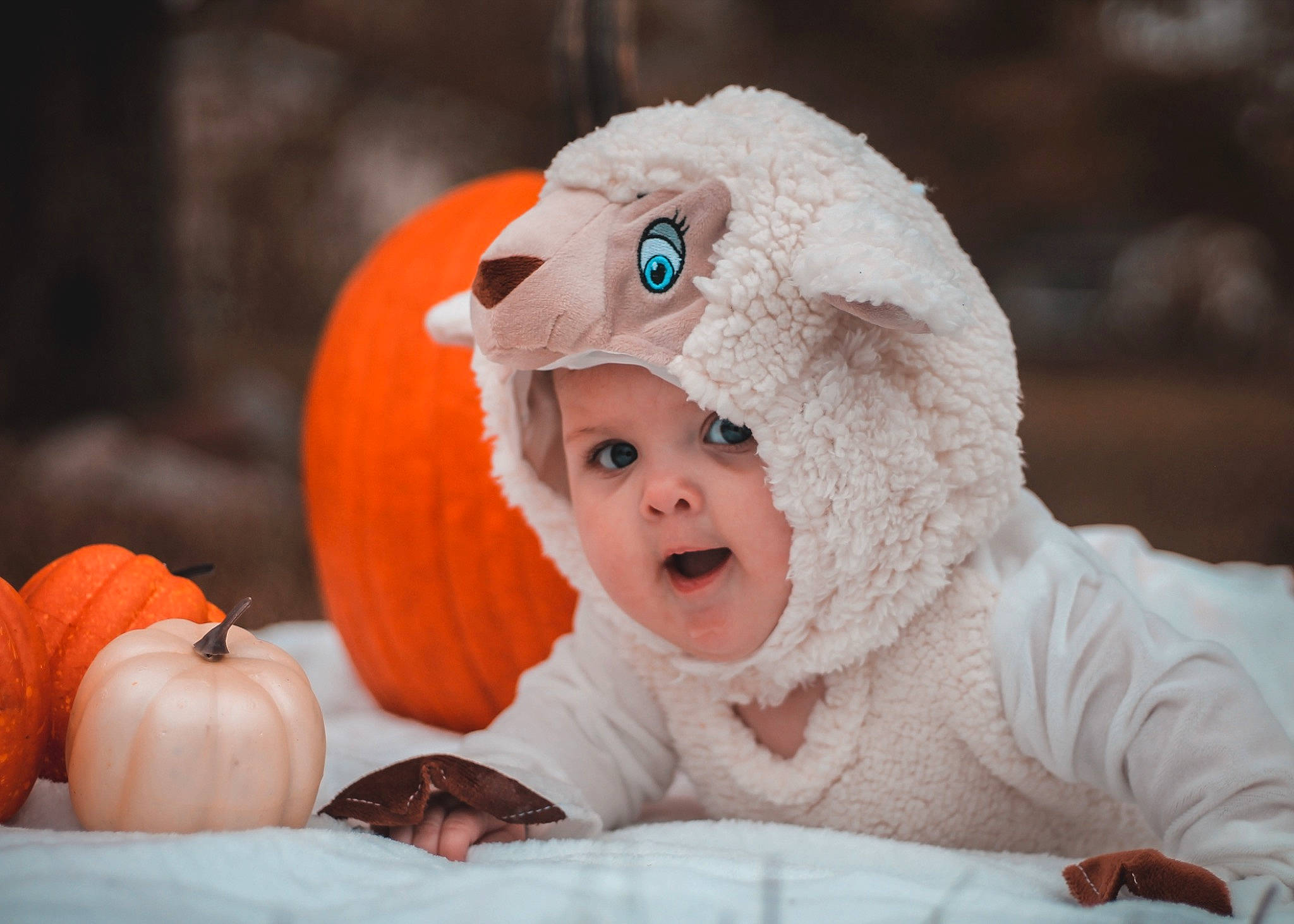 Adelina joined the competition — help win amazing prizes! baby, baby_toddler_clothing, calabaza, cap, eye, fun, gourd, happy, headwear, mammal, natural_foods, orange, person, plant, produce, pumpkin, smile, squash, toddler, vegetable