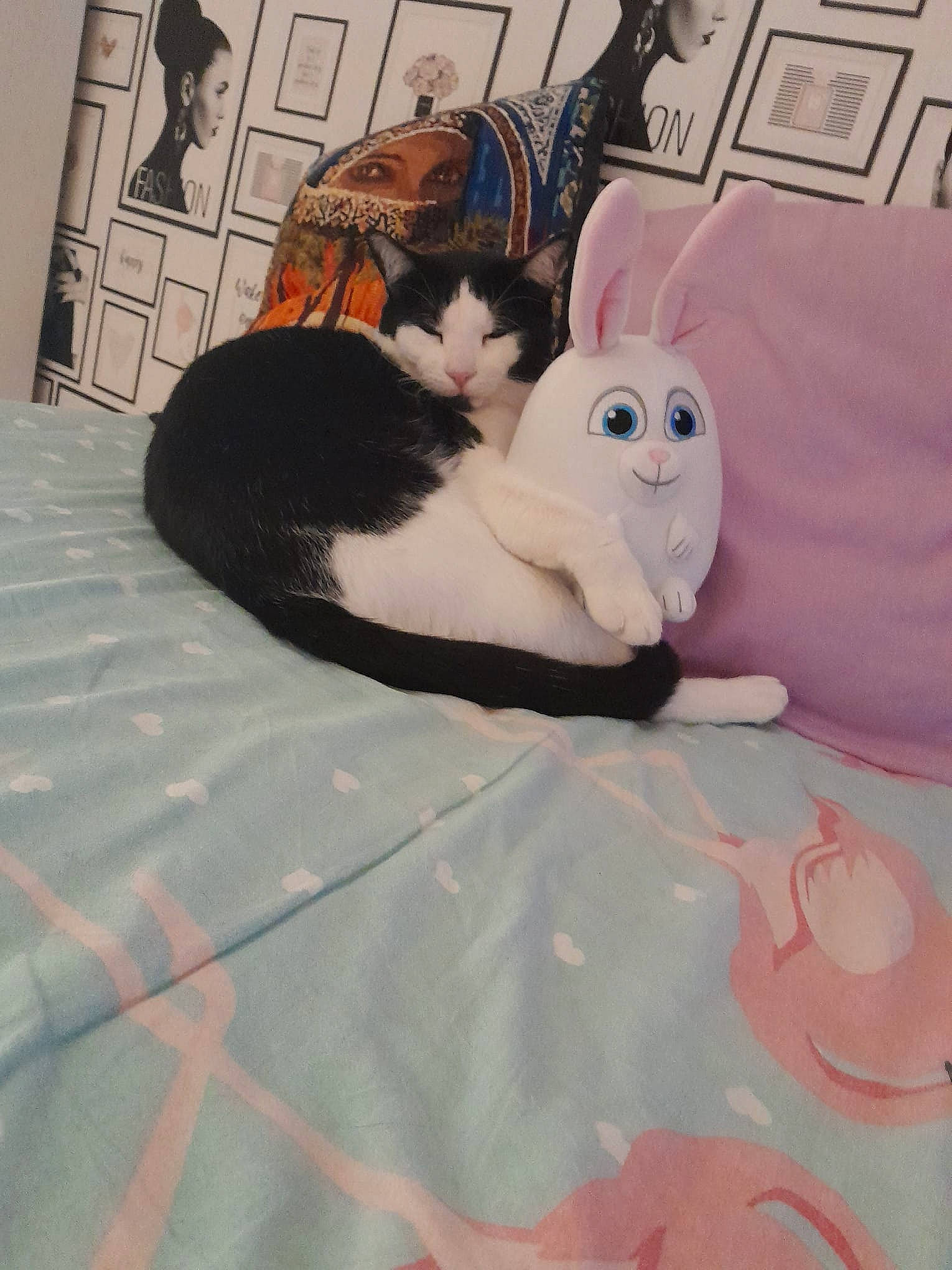 Chocobon participe au concours pour gagner de l'argent avec cette photo : bed, bedding, carnivore, cat, comfort, companion_dog, fawn, felidae, flooring, fur, grey, hardwood, linens, small_to_medium_sized_cats, stuffed_toy, tail, textile, toy, whiskers, wood