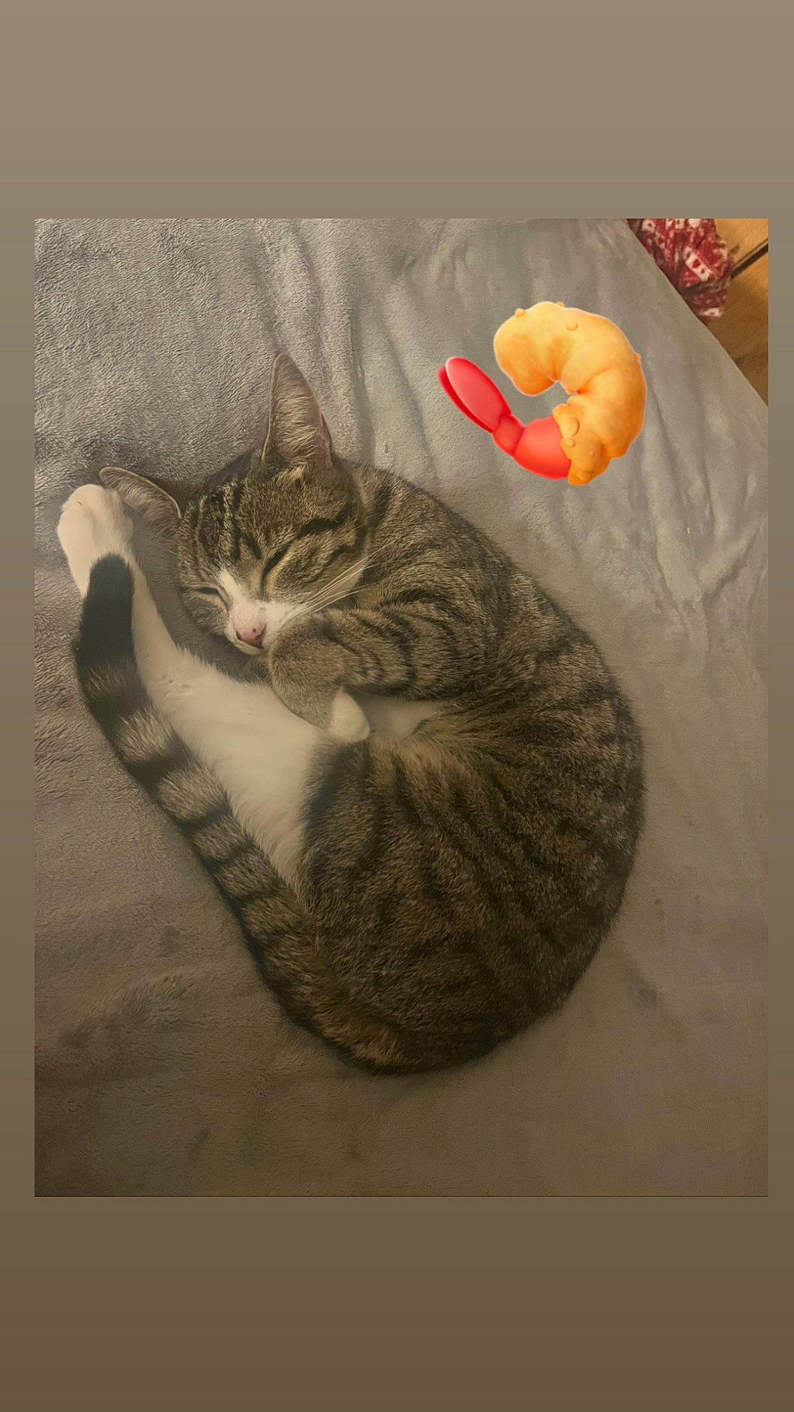 Juju joined the competition — help win amazing prizes! art, calabaza, carnivore, cat, cat_bed, cat_supply, domestic_short_haired_cat, felidae, fur, illustration, painting, paw, serveware, small_to_medium_sized_cats, still_life, still_life_photography, tail, terrestrial_animal, visual_arts, whiskers