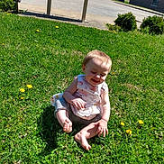 Piper is registered to the contest to win money with this photo: toddler, child, grass, greenery, outdoor, sunlight, dandelion, barefoot, happy, smiling, sitting, casual_clothing, nature, daylight, residential_area, car, building, shadows, playful, summer