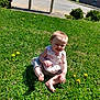 toddler, child, grass, greenery, outdoor, sunlight, dandelion, barefoot, happy, smiling, sitting, casual_clothing, nature, daylight, residential_area, car, building, shadows, playful, summer