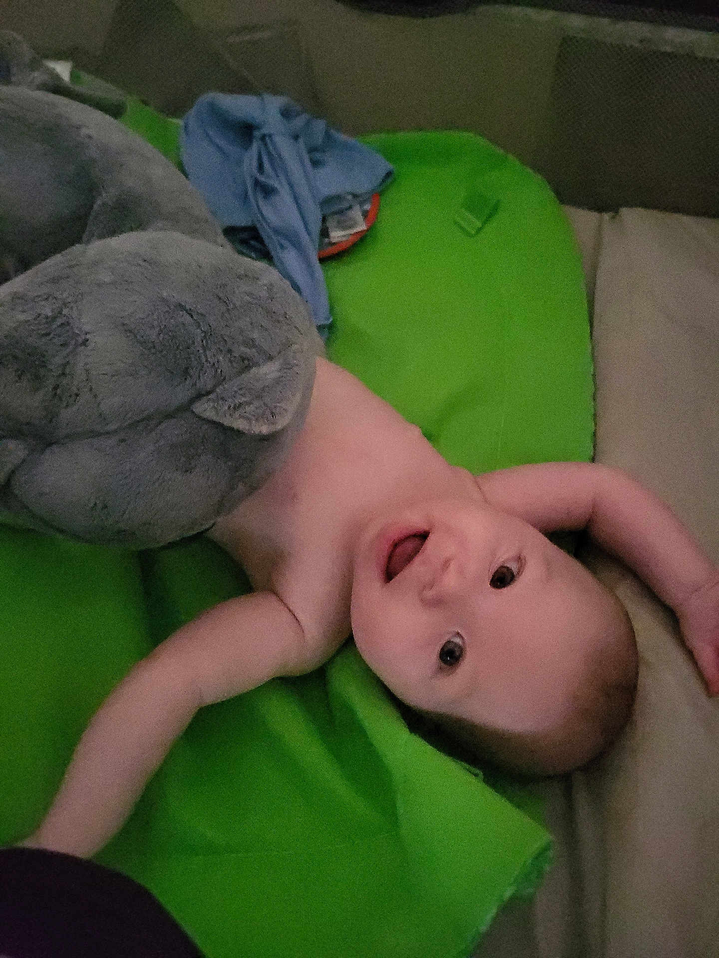 Theodore is registered to the contest to win money with this photo: arm, baby, child, childhood, cozy, cute, face, green_blanket, happy, head, indoor, infant, lying_down, plush_toy, portrait, skin, smiling, soft, stuffed_animal, toy