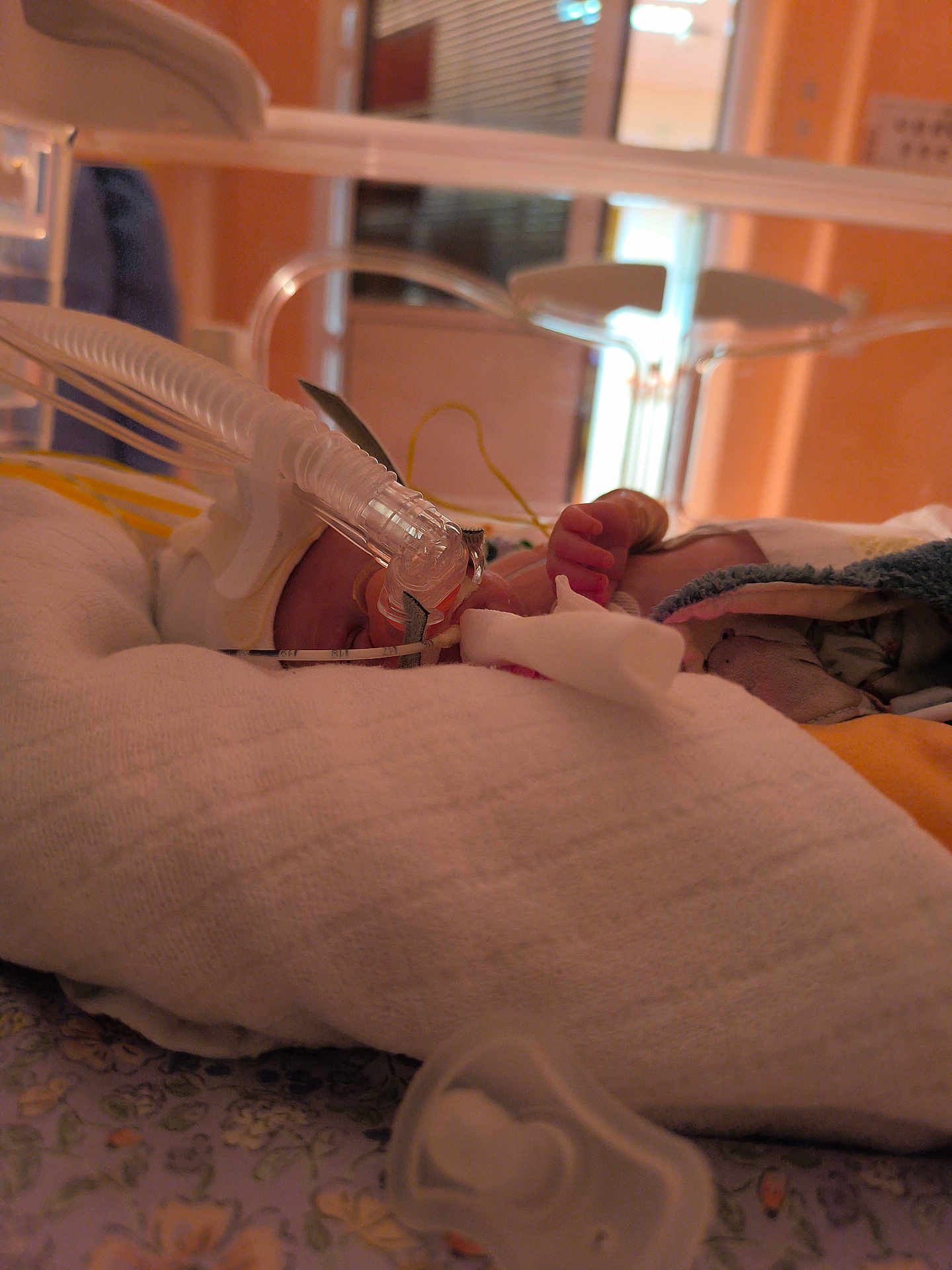 Julie a rejoint le concours — aidez-le/la à gagner de superbes lots ! baby, newborn, hospital, incubator, medical_equipment, breathing_tube, blanket, pacifier, infant, bed, healthcare, premature, sleeping, hand, monitoring, soft_lighting, care, fragile, tiny, patient