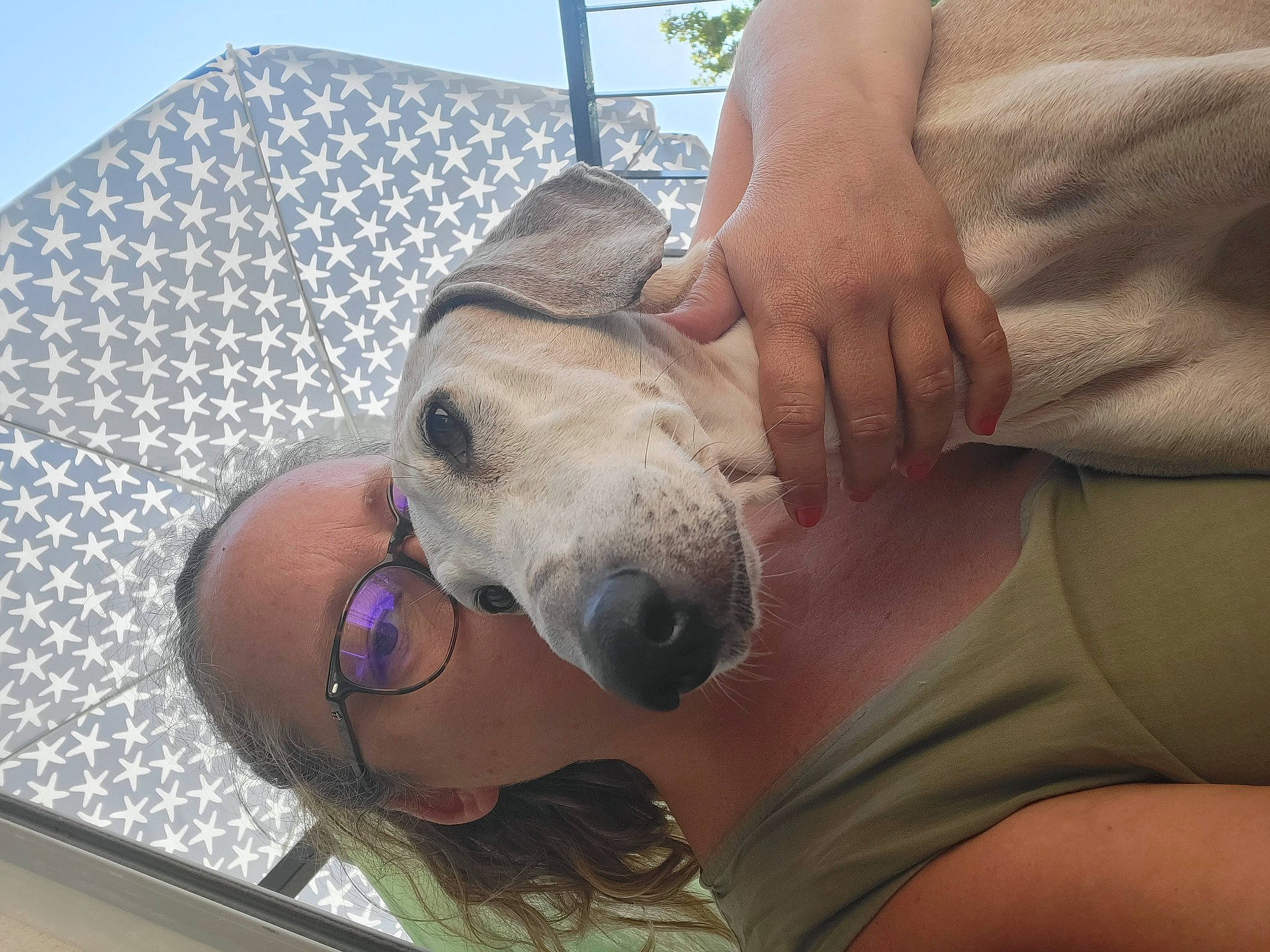 Faruq participe au concours pour gagner de l'argent avec cette photo : canidae, carnivore, comfort, companion_dog, dog, dog_breed, eyewear, fawn, fur, non_sporting_group, sky, snout, sporting_group, sun_hat, sunglasses, terrestrial_animal, whiskers, working_animal