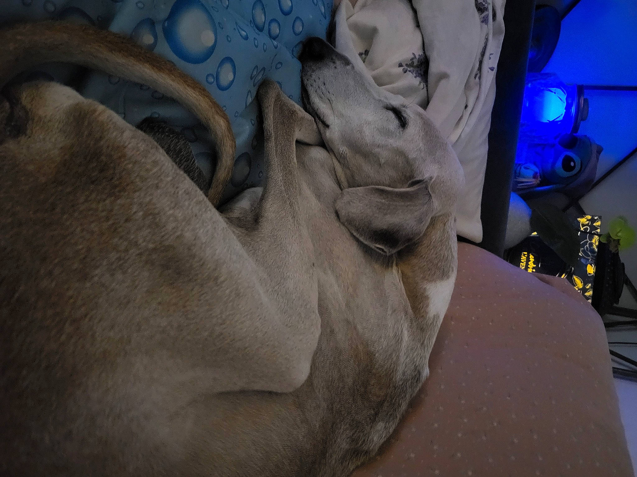 Faruq a rejoint le concours — aidez-le/la à gagner de superbes lots ! art, auto_part, automotive_design, automotive_wheel_system, bedding, blue, carving, chest, comfort, electric_blue, glass, grey, human_leg, linens, metal, rock, sculpture, tree, visual_arts, wrinkle