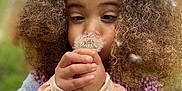 Maya participe au concours pour gagner de l'argent avec cette photo : child, curly_hair, dandelion, flower, nature, outdoor, greenery, pink_jacket, hair_clip, close_up, hands, face, cute, playing, garden, spring, smiling, young, person, portrait