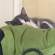 Charlie a rejoint le concours — aidez-le/la à gagner de superbes lots !