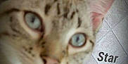 Star is registered to the contest to win money with this photo: