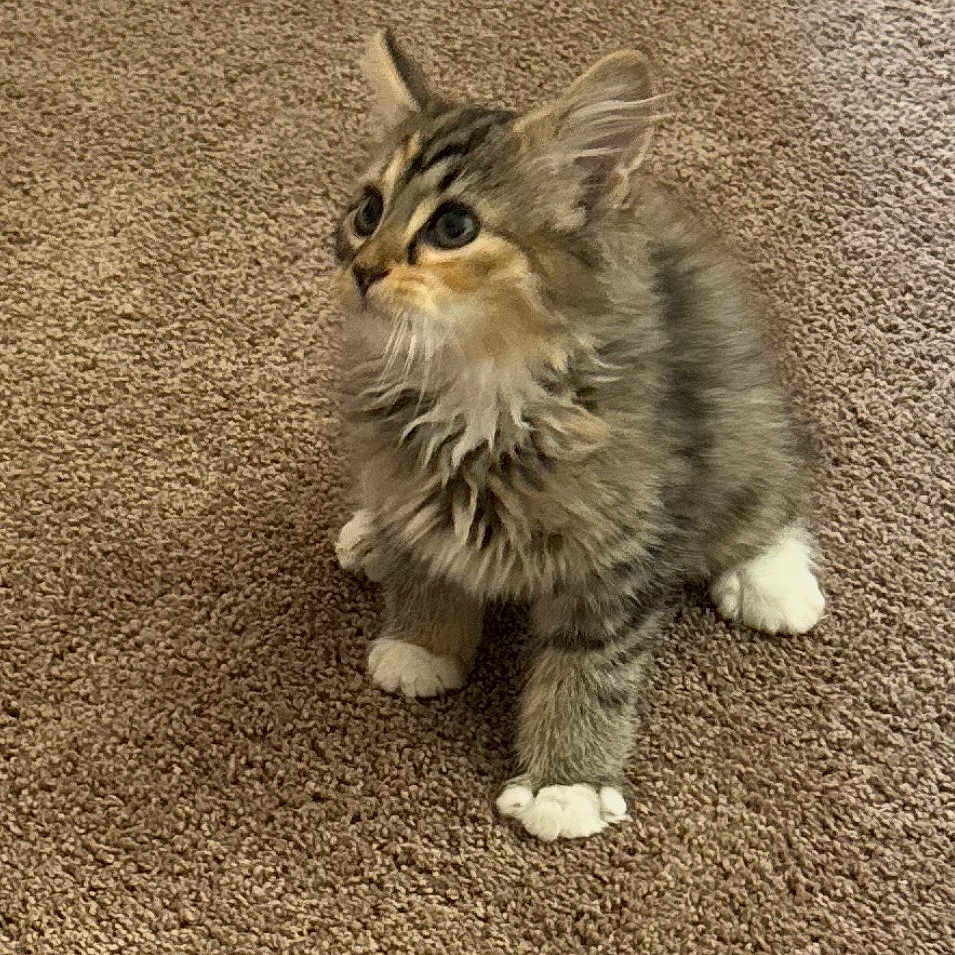 Molly