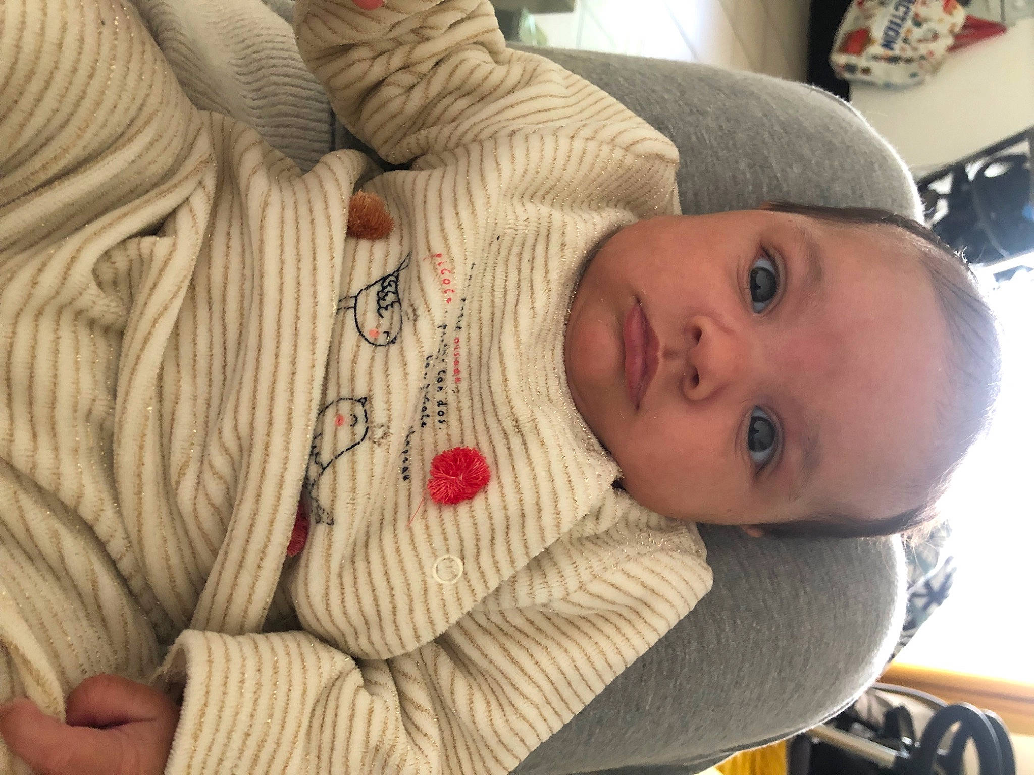 Lylia participe au concours pour gagner de l'argent avec cette photo : baby, baby_toddler_clothing, cheek, chin, comfort, eye, eyebrow, hat, human_body, jacket, lip, mammal, mouth, nose, outerwear, person, skin, sleeve, toddler, tree