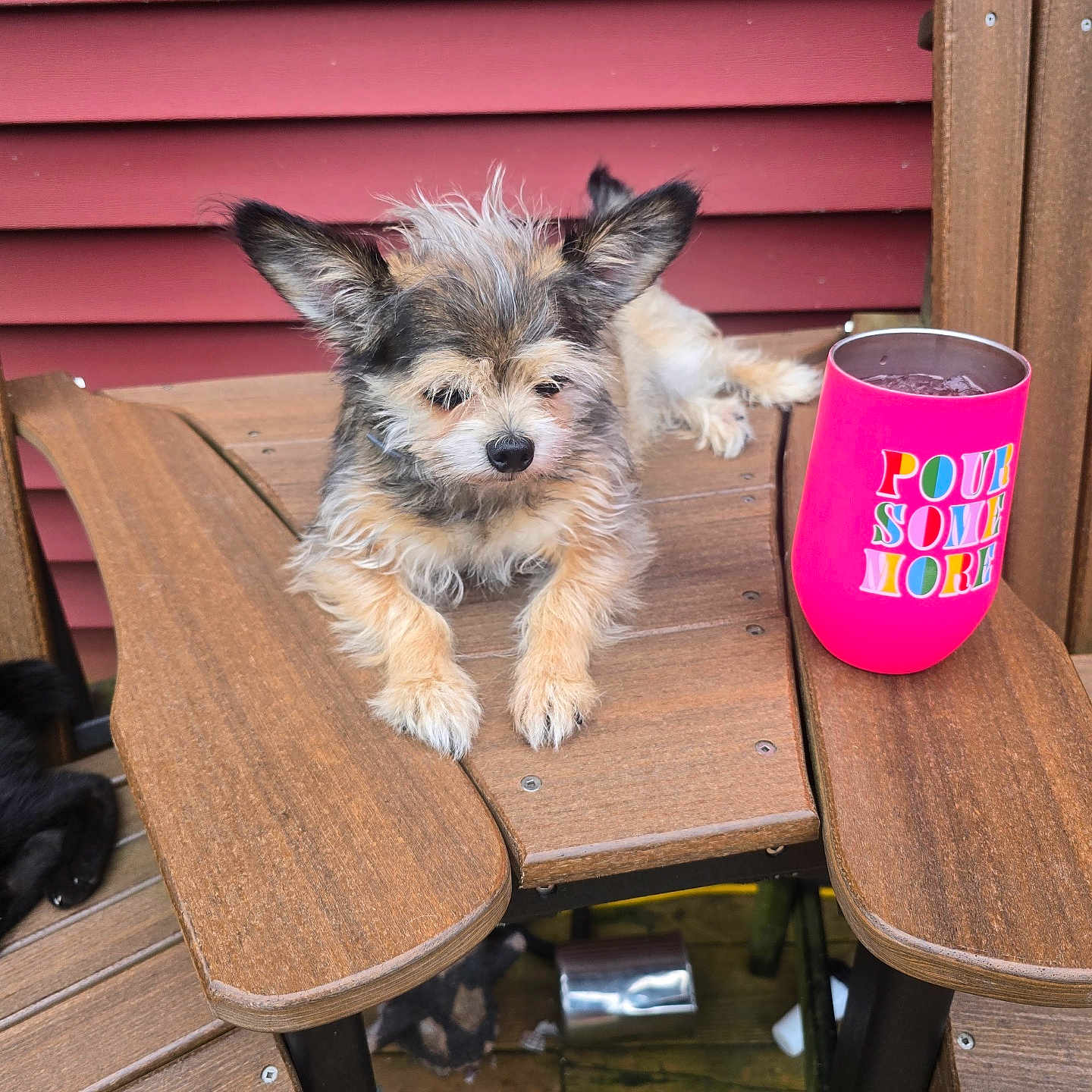 Willie