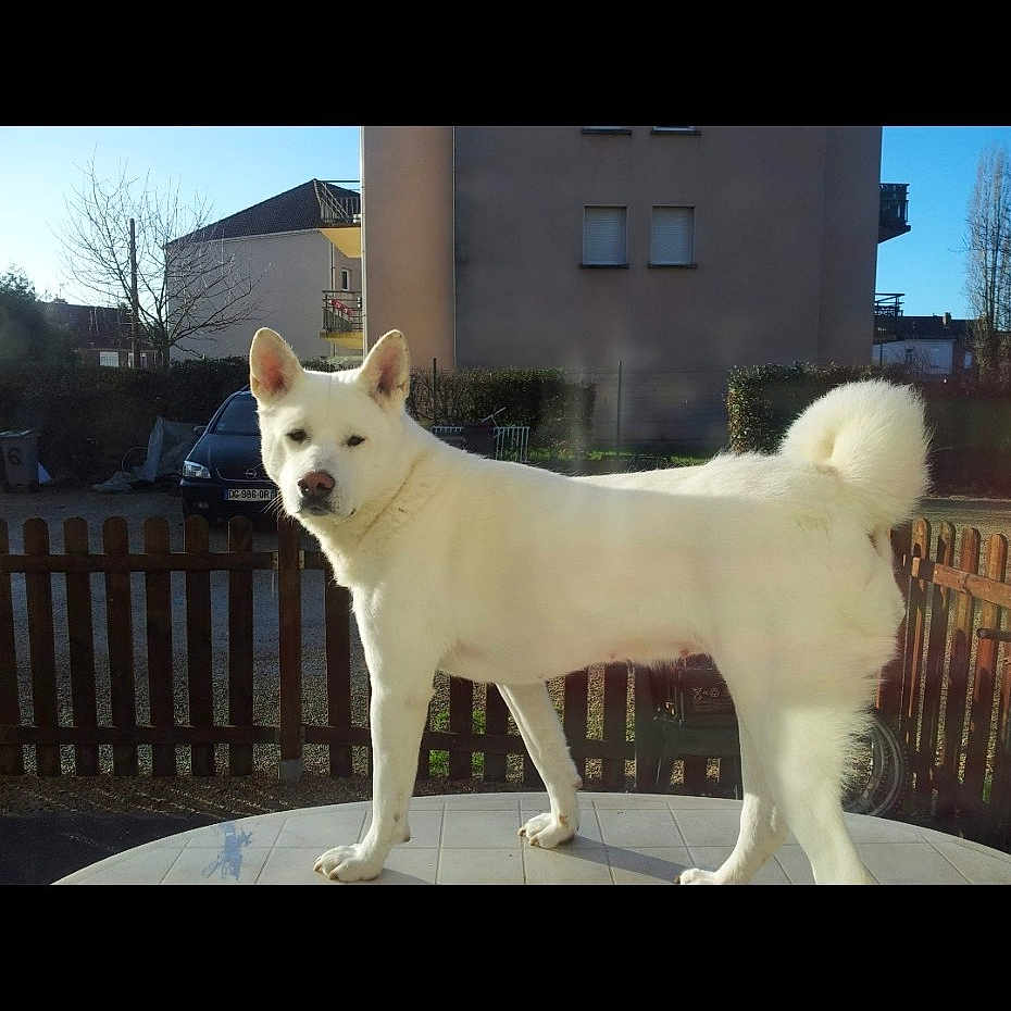 Hèra