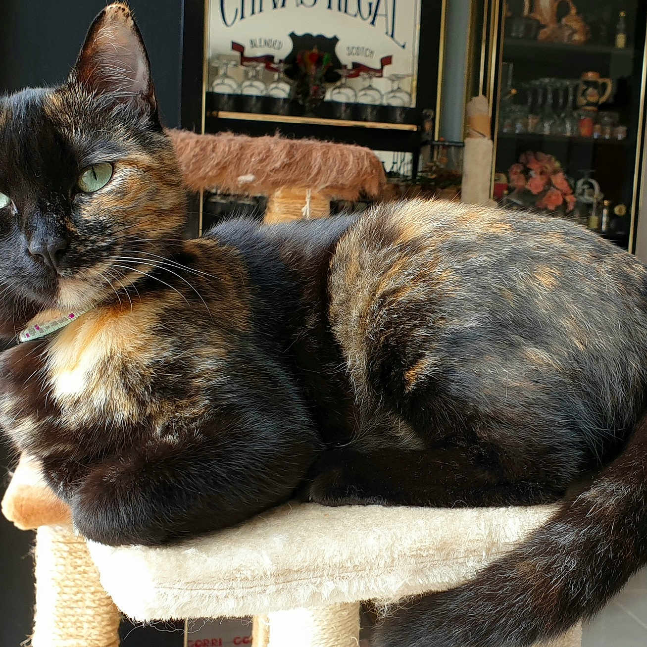 Luna