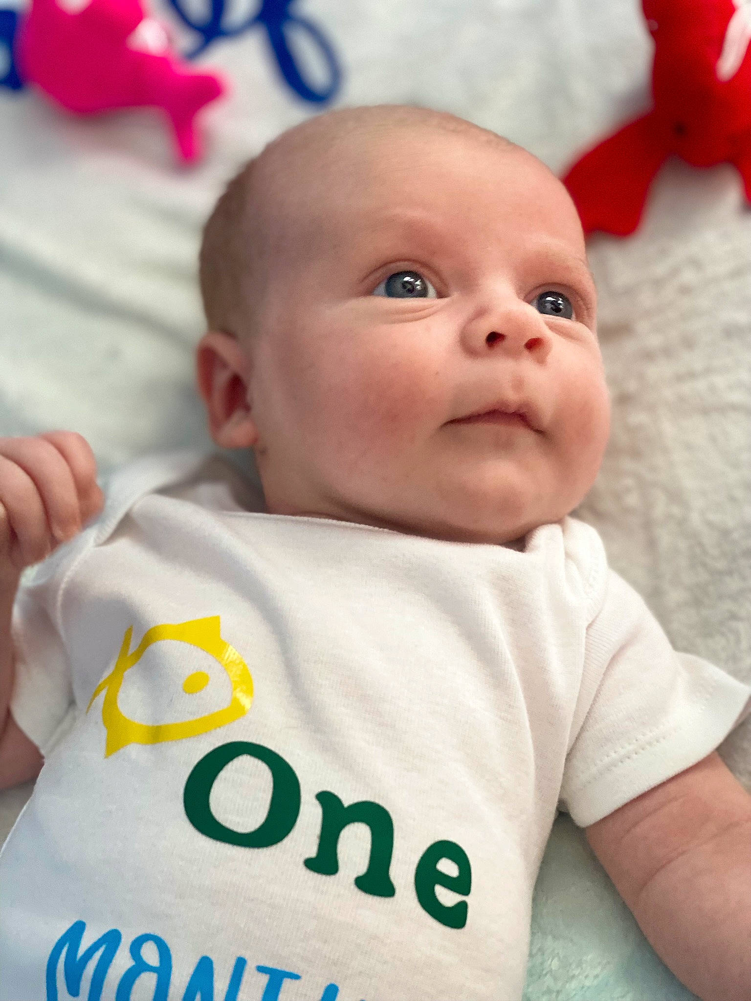 Michael is registered to the contest to win money with this photo: baby, baby_toddler_clothing, cheek, child, eye, eyebrow, forehead, happy, iris, lip, mouth, nose, people, person, product, skin, sleeve, smile, t_shirt, toddler