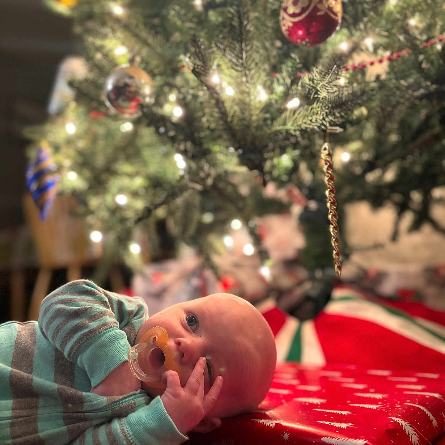 Cam joined the competition — help win amazing prizes! accessories, baby, bodypart, conifer, couch, face, finger, fir, furniture, hand, happy, head, lighting, ornament, person, photography, plant, portrait, smile, tree