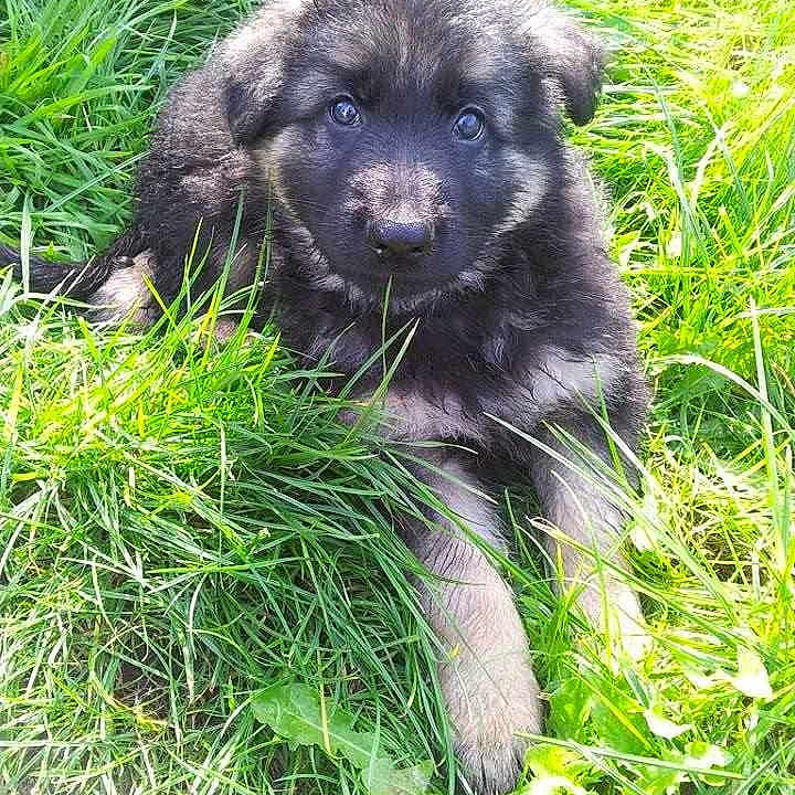 Kiyo is registered to the contest to win money with this photo: