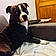 Otto