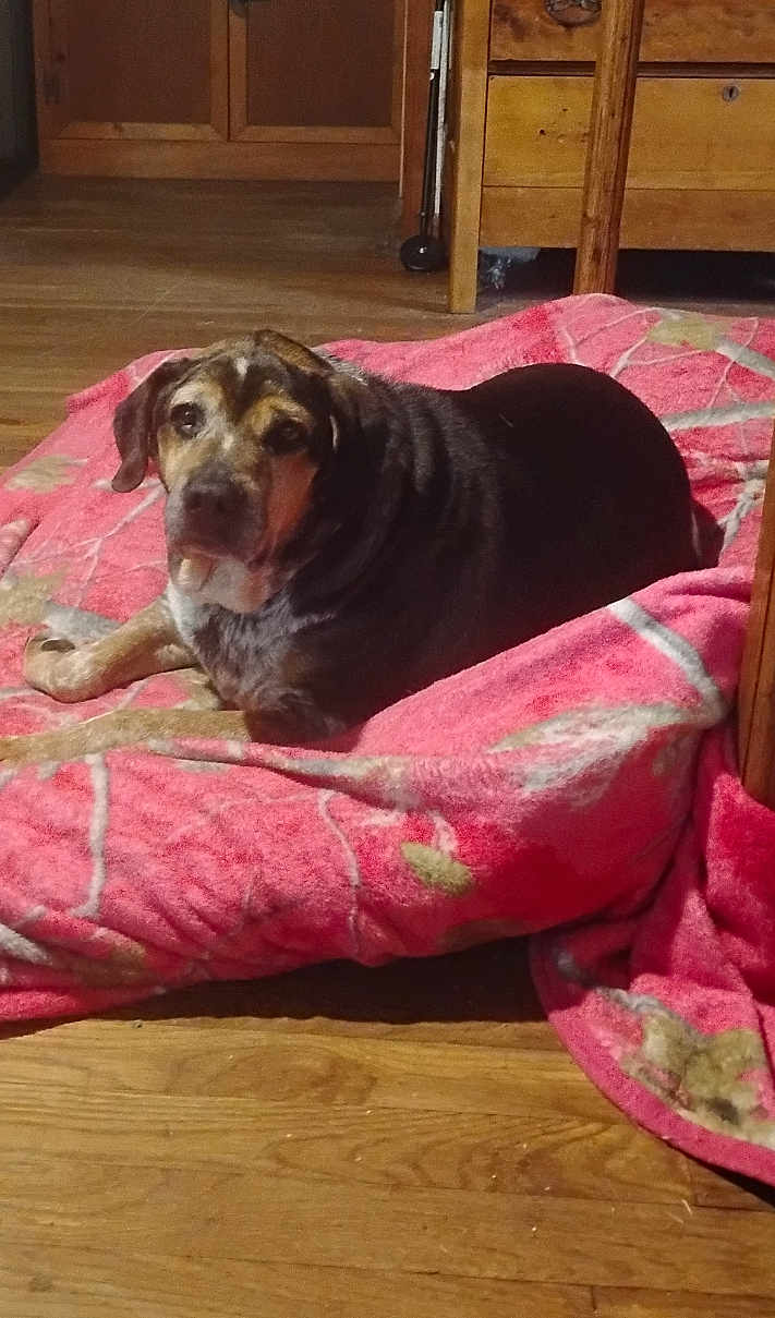 Roscoe