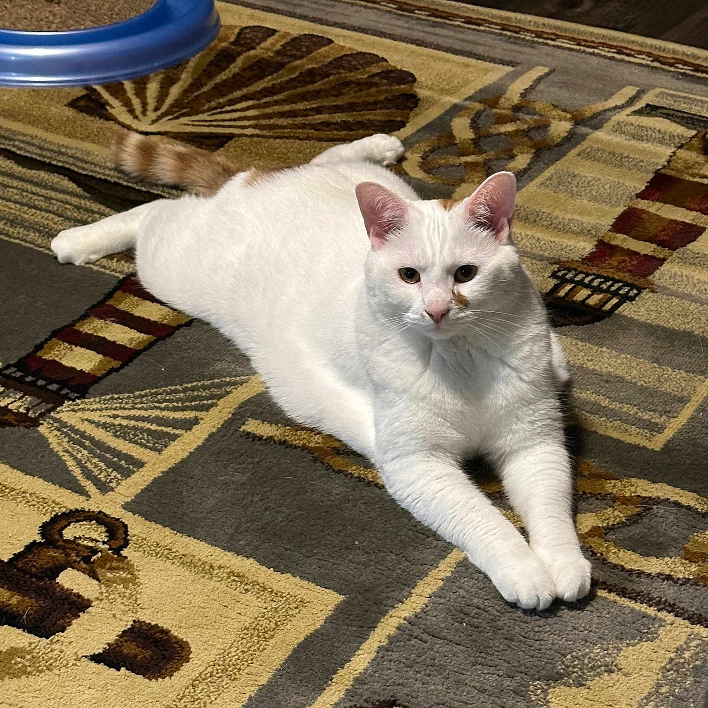 Casper