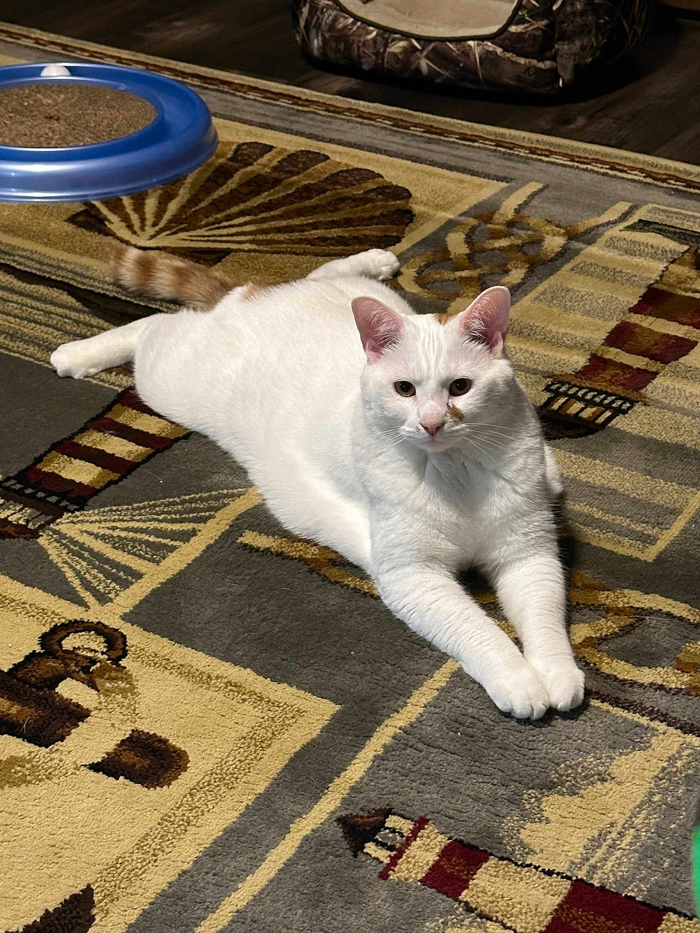 Casper