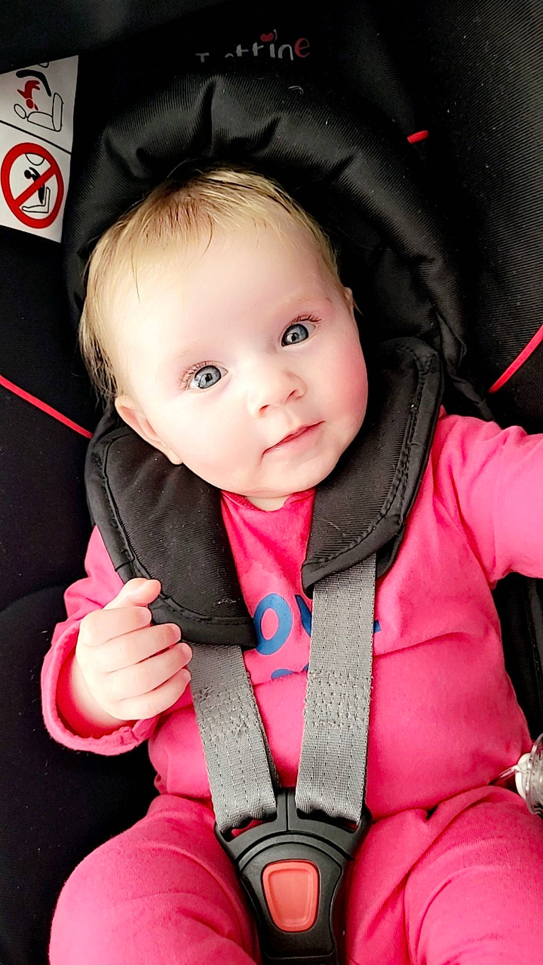 Juliana participe au concours pour gagner de l'argent avec cette photo : auto_part, baby, baby_carriage, baby_in_car_seat, baby_products, baby_safety, baby_toddler_clothing, car_seat, cheek, child, eyebrow, fashion_accessory, flash_photography, happy, iris, person, pink, skin, sleeve, textile