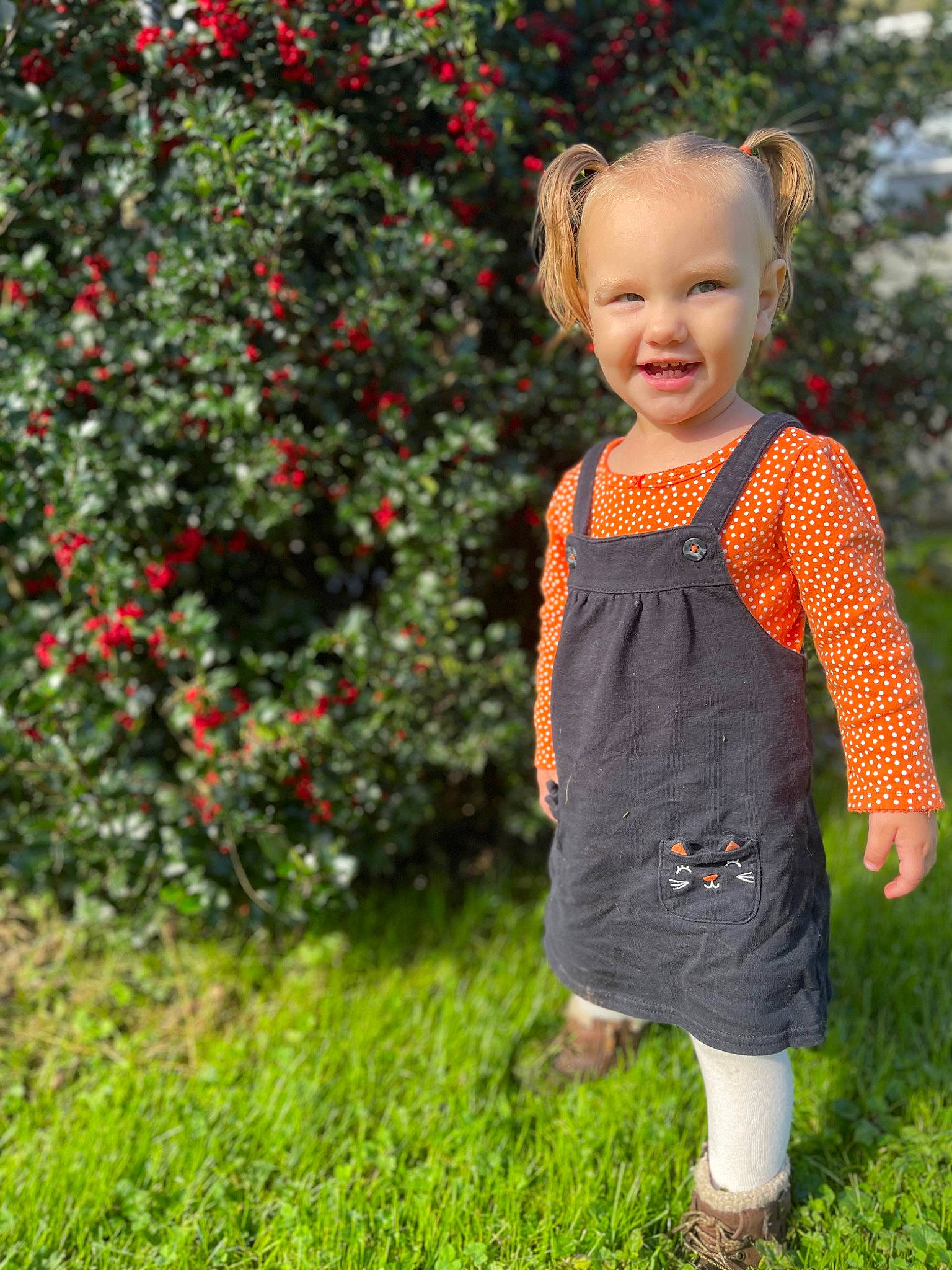 Dorothy is registered to the contest to win money with this photo: baby_toddler_clothing, botany, child, flower, fruit, garden, grass, happy, head, joy, leaf, one_piece_garment, outerwear, pattern, people_in_nature, person, plant, rose_family, shrub, sleeve