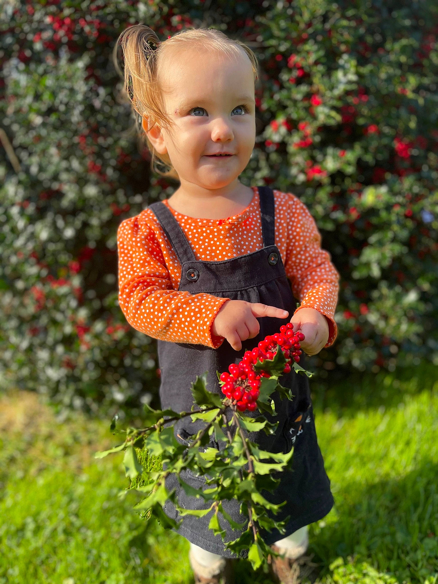 Dorothy is registered to the contest to win money with this photo: baby, baby_toddler_clothing, botany, dress, eye, face, flower, fruit, grass, happy, head, joy, leaf, lip, people_in_nature, person, petal, plant, red, skin