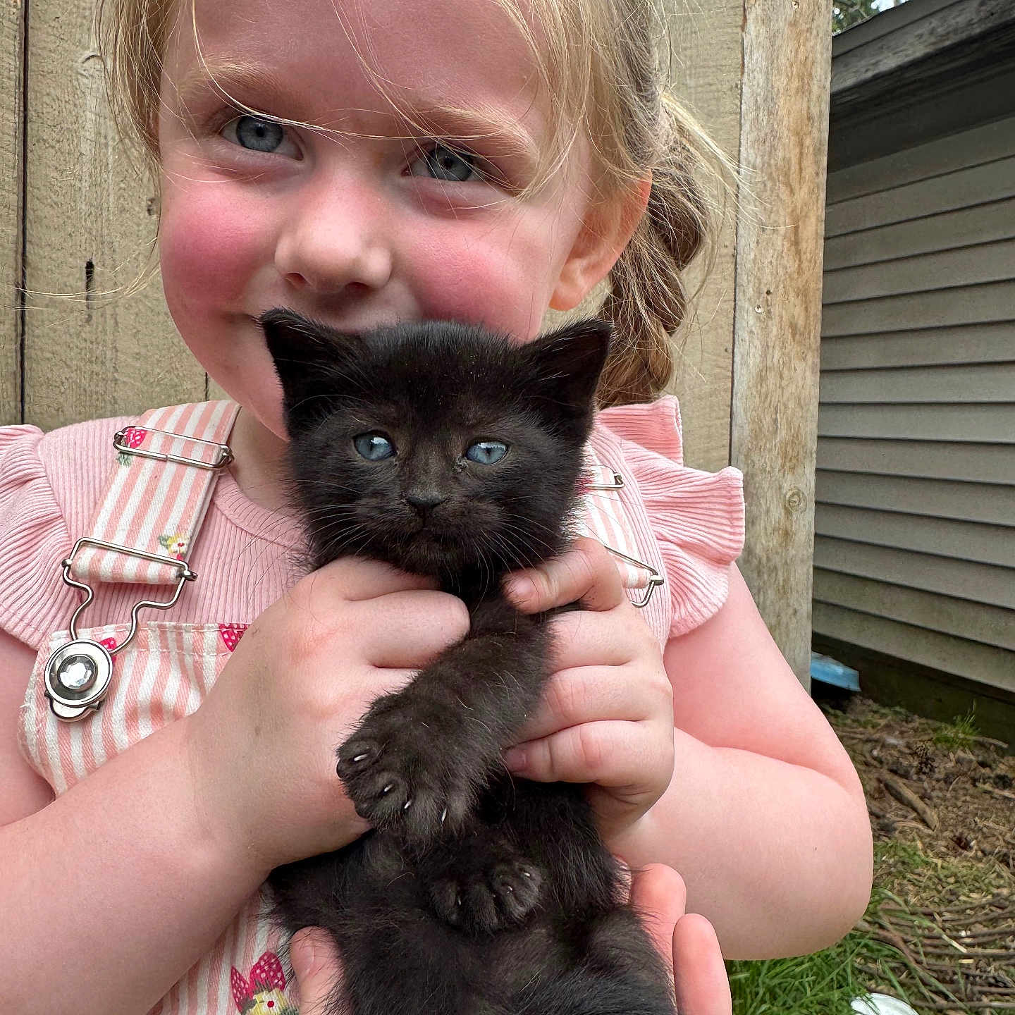 Brynlee Mae joined the competition — help win amazing prizes! animal, black_cat, building, casual, child, cute, daylight, face, grass, hands, holding, kitten, nature, outdoor, person, pet, portrait, smiling, wooden_fence, young