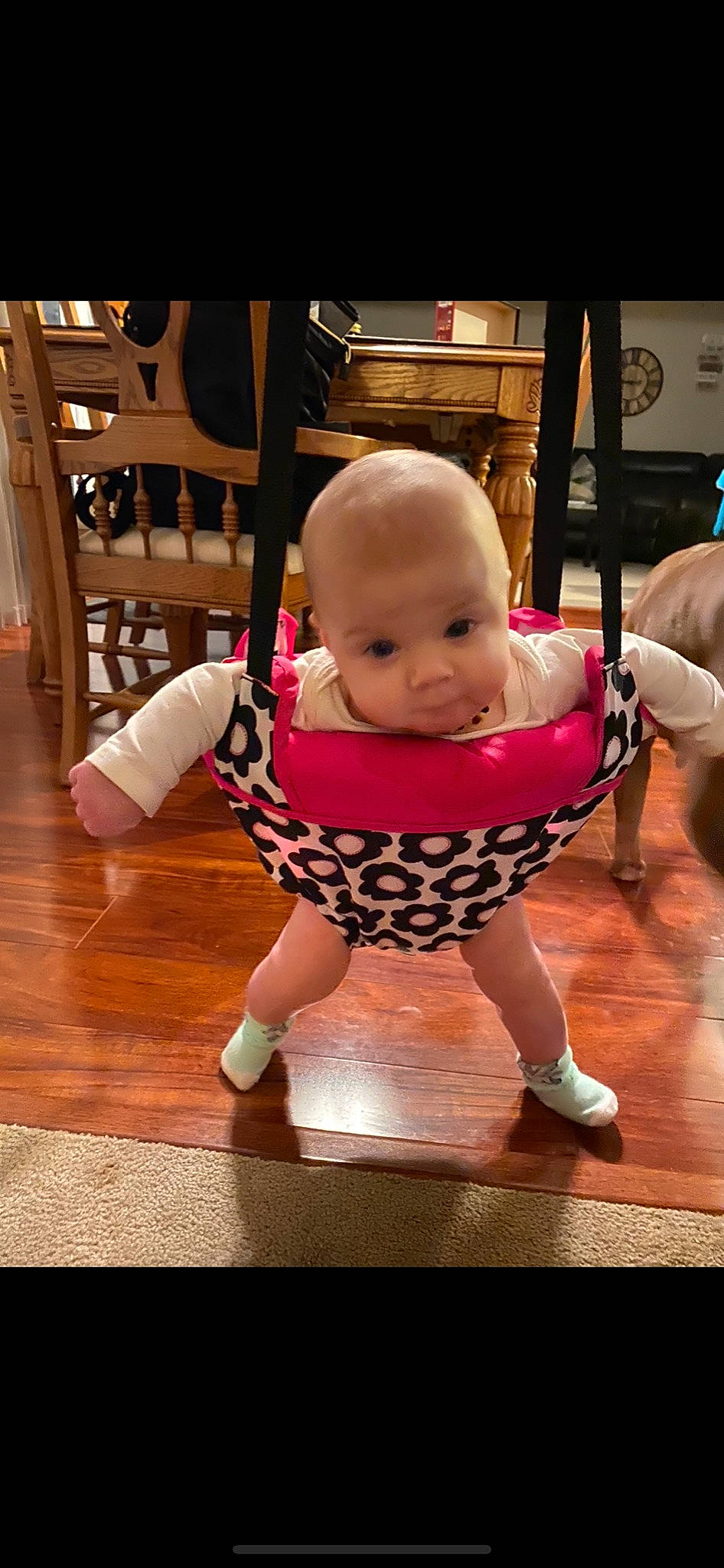 Rhyder is registered to the contest to win money with this photo: baby, baby_products, chair, cheek, child, person, product, sitting, swing, toddler