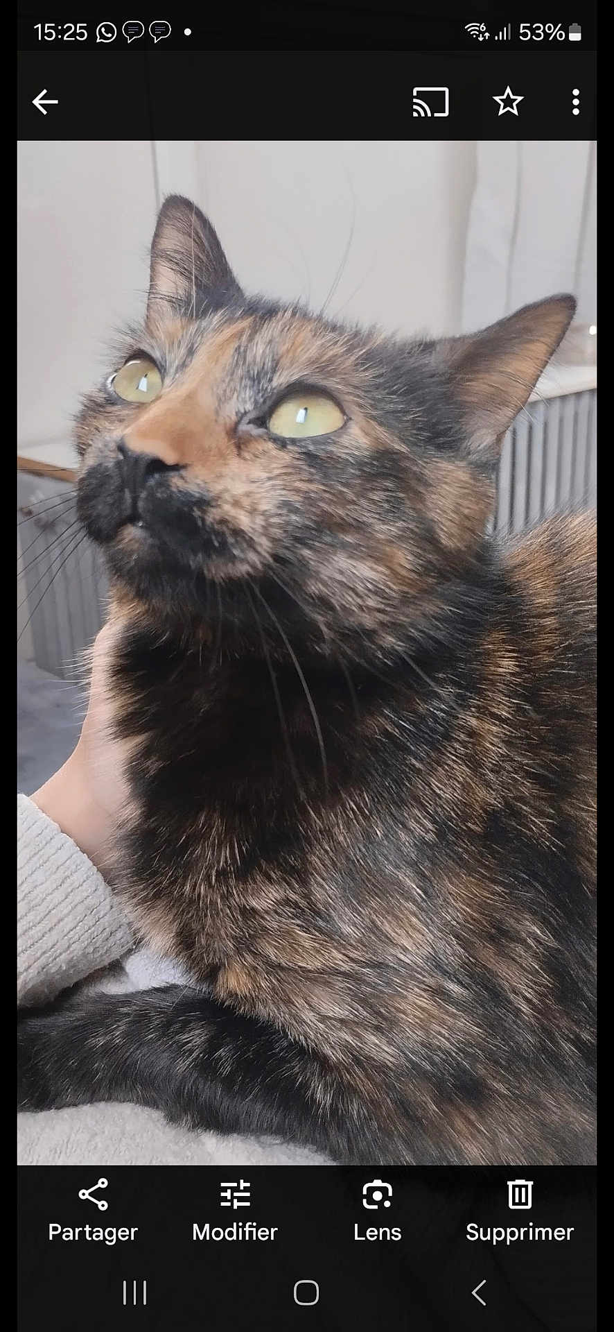 Princesse