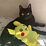 black_cat, cat, plush_toy, pikachu, stuffed_animal, bed, blanket, indoor, pet, animal, feline, cute, soft_toy, relaxed, green_eyes, cozy, sunlight, resting, cuddle, home